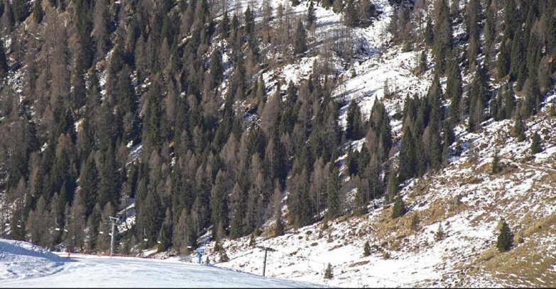 Webcam San Martino di Castrozza - Passo Rolle - Tognola - Pista Scandola