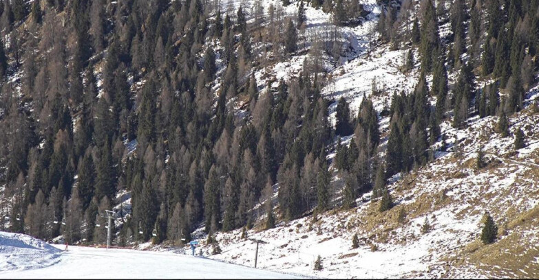 Webcam San Martino di Castrozza - Passo Rolle - Tognola - Pista Scandola