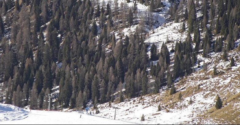 Webcam San Martino di Castrozza - Passo Rolle - Tognola - Pista Scandola