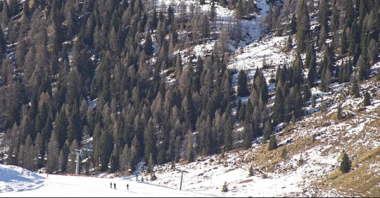 Webcam Сан-Мартино-ди-Кастроцца - Пассо-Ролле - Tognola - Piste Scandola