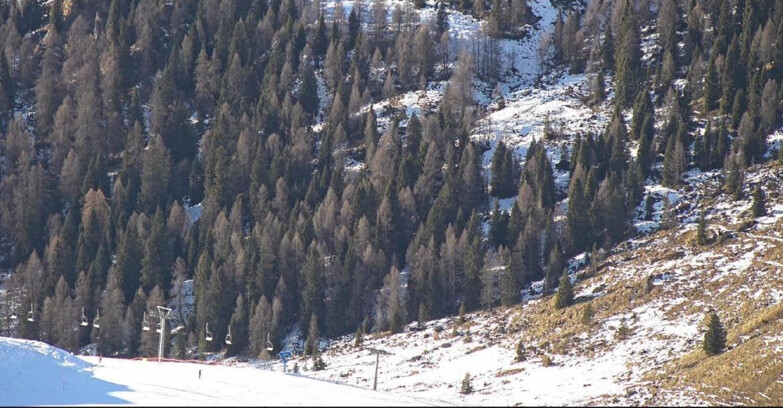 Webcam Сан-Мартино-ди-Кастроцца - Пассо-Ролле - Tognola - Piste Scandola