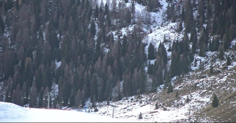 Webcam Сан-Мартино-ди-Кастроцца - Пассо-Ролле - Tognola - Piste Scandola