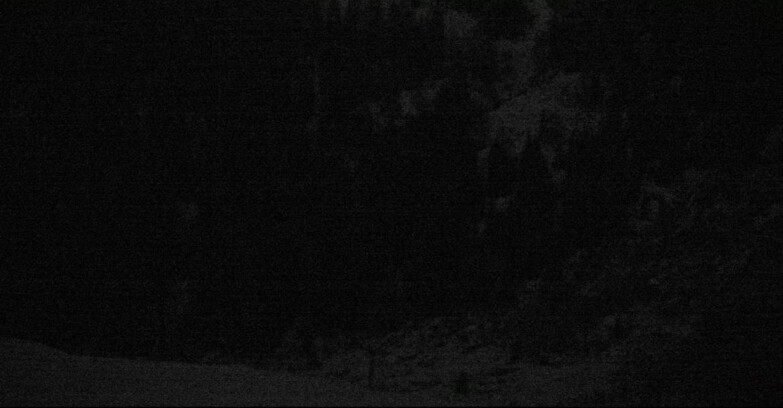 Webcam San Martino di Castrozza - Passo Rolle - Tognola - Piste Scandola