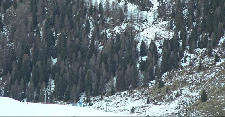 Webcam San Martino di Castrozza - Passo Rolle - Tognola - Piste Scandola