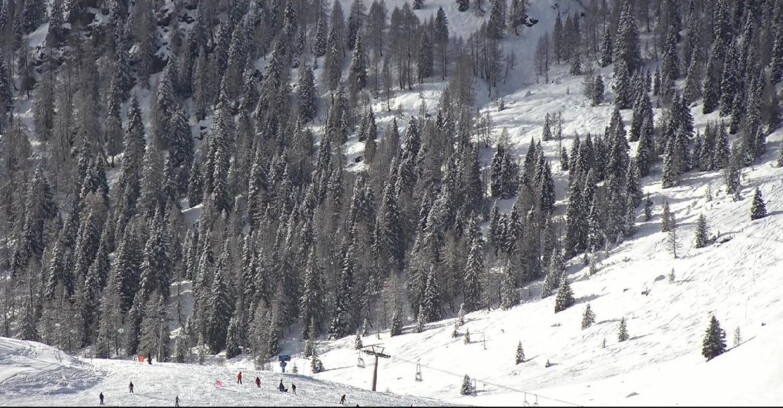 Webcam San Martino di Castrozza - Passo Rolle - Tognola - Piste Scandola