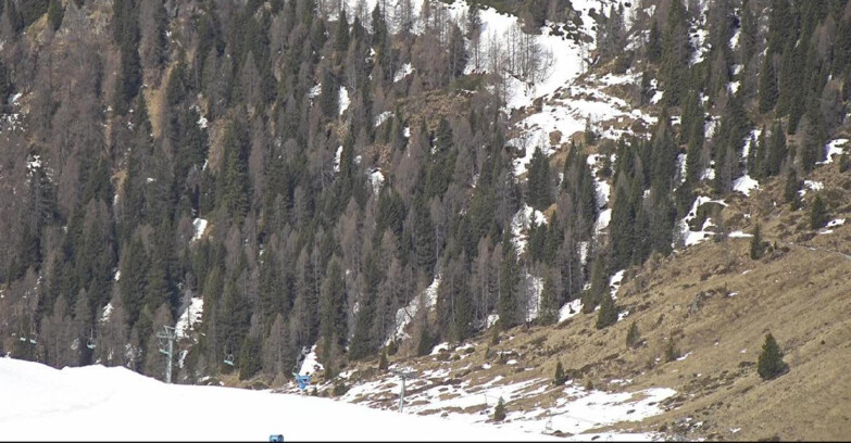 Webcam San Martino di Castrozza - Passo Rolle - Tognola - Piste Scandola