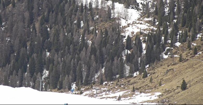 Webcam San Martino di Castrozza - Passo Rolle - Tognola - Pista Scandola