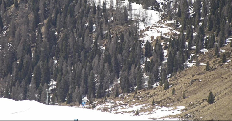 Webcam San Martino di Castrozza - Passo Rolle - Tognola - Piste Scandola