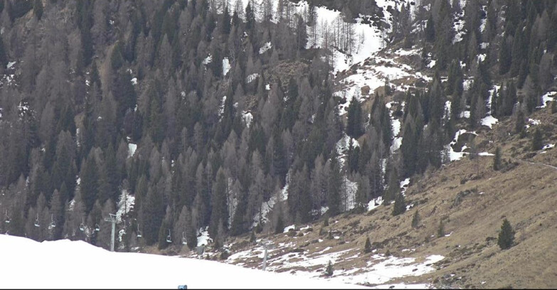 Webcam San Martino di Castrozza - Passo Rolle - Tognola - Piste Scandola