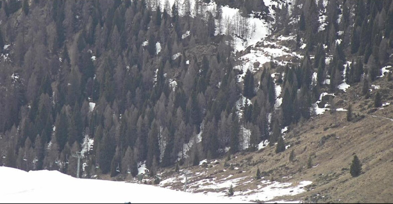 Webcam San Martino di Castrozza - Passo Rolle - Tognola - Pista Scandola