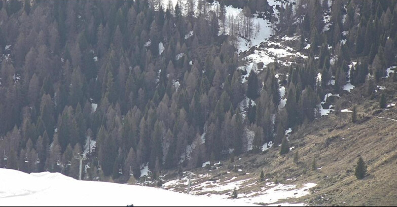 Webcam San Martino di Castrozza - Passo Rolle - Tognola - Piste Scandola