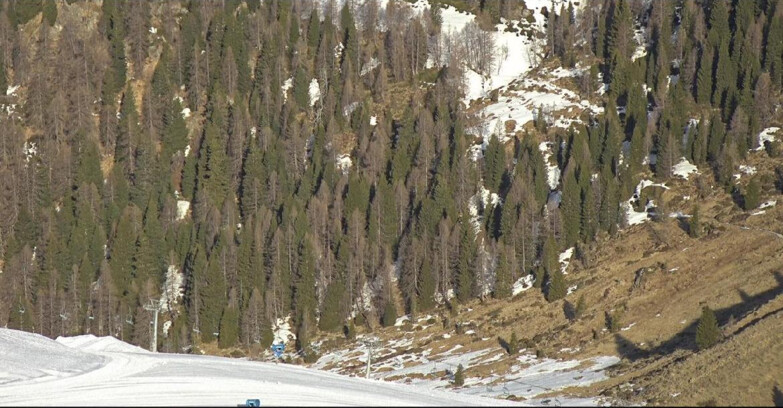 Webcam San Martino di Castrozza - Passo Rolle - Tognola - Pista Scandola