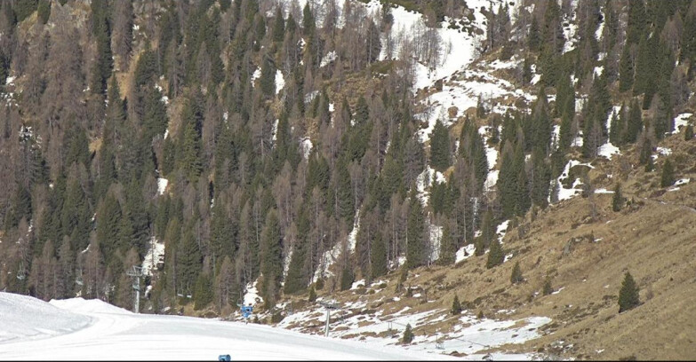Webcam San Martino di Castrozza - Passo Rolle - Tognola - Pista Scandola