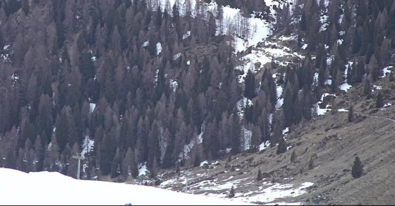 Webcam Сан-Мартино-ди-Кастроцца - Пассо-Ролле - Tognola - Piste Scandola