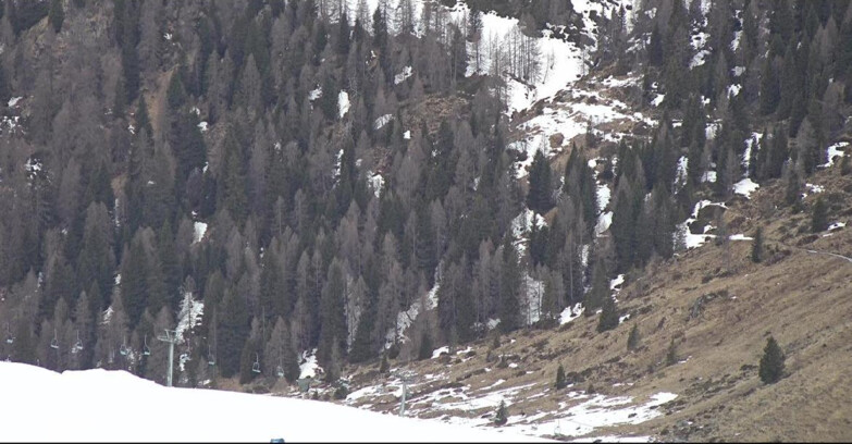 Webcam Сан-Мартино-ди-Кастроцца - Пассо-Ролле - Tognola - Piste Scandola