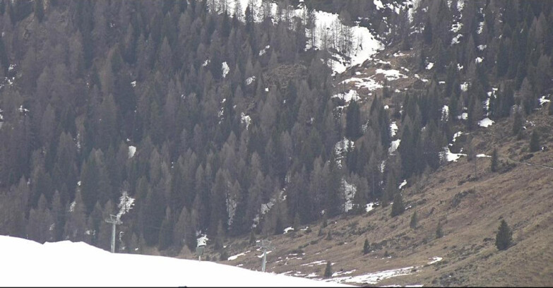 Webcam San Martino di Castrozza - Passo Rolle - Tognola - Piste Scandola