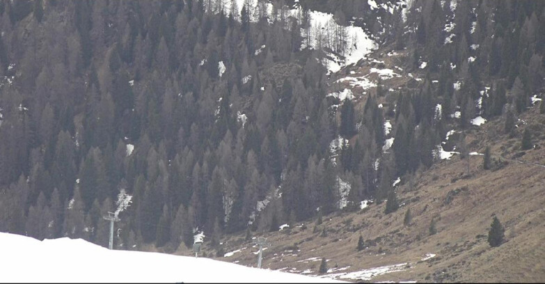 Webcam San Martino di Castrozza - Passo Rolle - Tognola - Piste Scandola