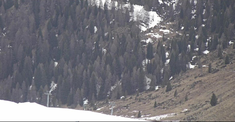 Webcam San Martino di Castrozza - Passo Rolle - Tognola - Piste Scandola