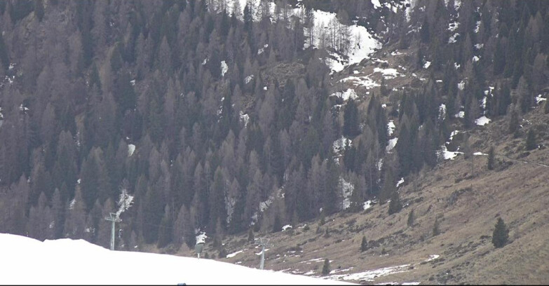 Webcam San Martino di Castrozza - Passo Rolle - Tognola - Piste Scandola