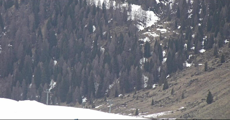 Webcam San Martino di Castrozza - Passo Rolle - Tognola - Piste Scandola