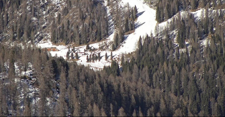 Webcam San Martino di Castrozza - Passo Rolle - Ces - Malga Valcigolera