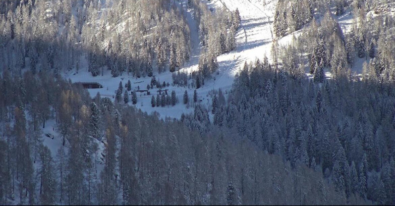 Webcam San Martino di Castrozza - Passo Rolle  - Ces - Malga Valcigolera