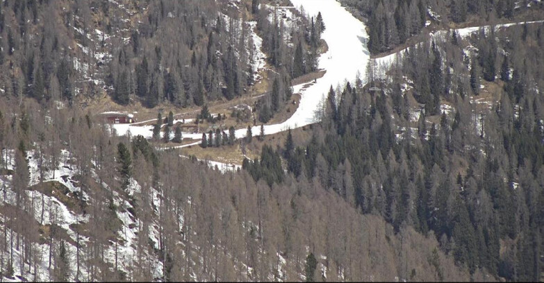 Webcam San Martino di Castrozza - Passo Rolle  - Ces - Malga Valcigolera