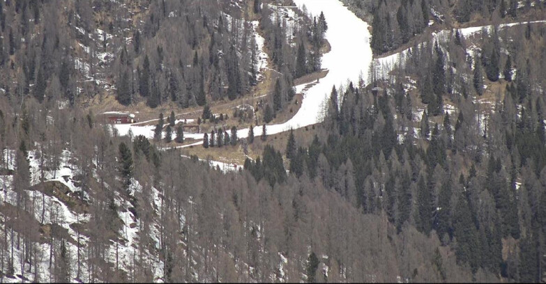 Webcam San Martino di Castrozza - Passo Rolle  - Ces - Malga Valcigolera