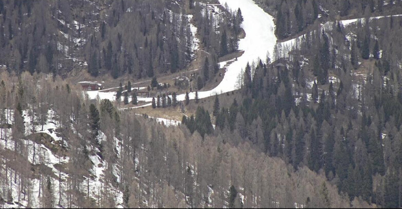 Webcam San Martino di Castrozza - Passo Rolle  - Ces - Malga Valcigolera