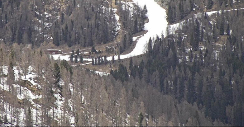 Webcam San Martino di Castrozza - Passo Rolle  - Ces - Malga Valcigolera
