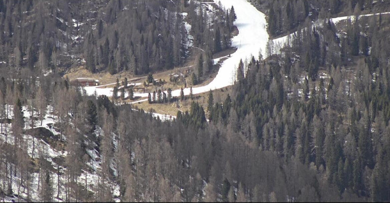 Webcam San Martino di Castrozza - Passo Rolle  - Ces - Malga Valcigolera