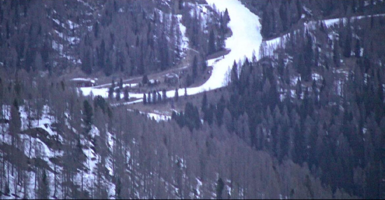 Webcam San Martino di Castrozza - Passo Rolle  - Ces - Malga Valcigolera