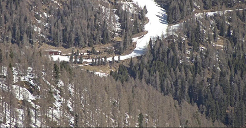 Webcam San Martino di Castrozza - Passo Rolle  - Ces - Malga Valcigolera