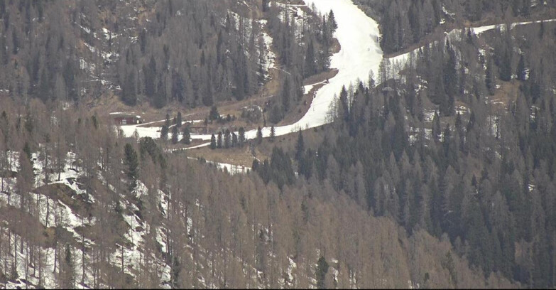 Webcam Сан-Мартино-ди-Кастроцца - Пассо-Ролле - Ces - Malga Valcigolera
