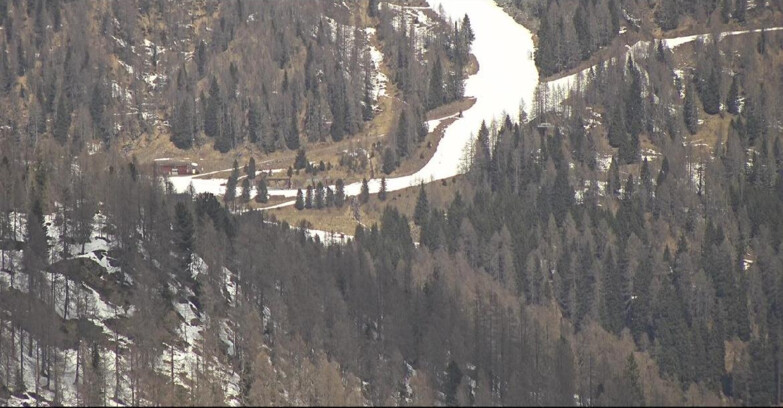 Webcam Сан-Мартино-ди-Кастроцца - Пассо-Ролле - Ces - Malga Valcigolera