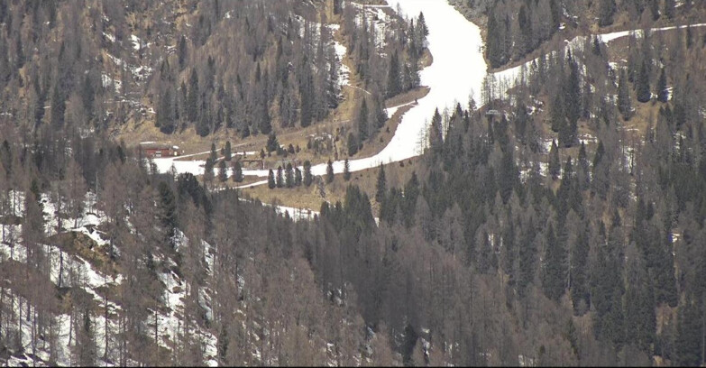 Webcam Сан-Мартино-ди-Кастроцца - Пассо-Ролле - Ces - Malga Valcigolera