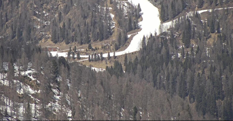 Webcam Сан-Мартино-ди-Кастроцца - Пассо-Ролле - Ces - Malga Valcigolera