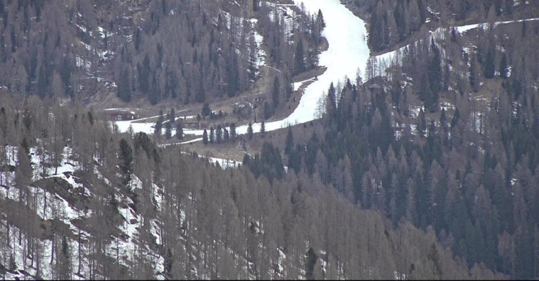 Webcam Сан-Мартино-ди-Кастроцца - Пассо-Ролле - Ces - Malga Valcigolera