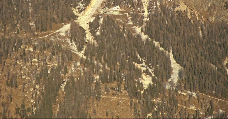 Webcam San Martino di Castrozza - Passo Rolle - Ski Area Col Verde