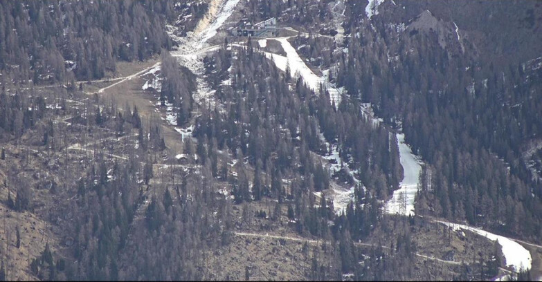Webcam San Martino di Castrozza - Passo Rolle  - Ski Area Col Verde