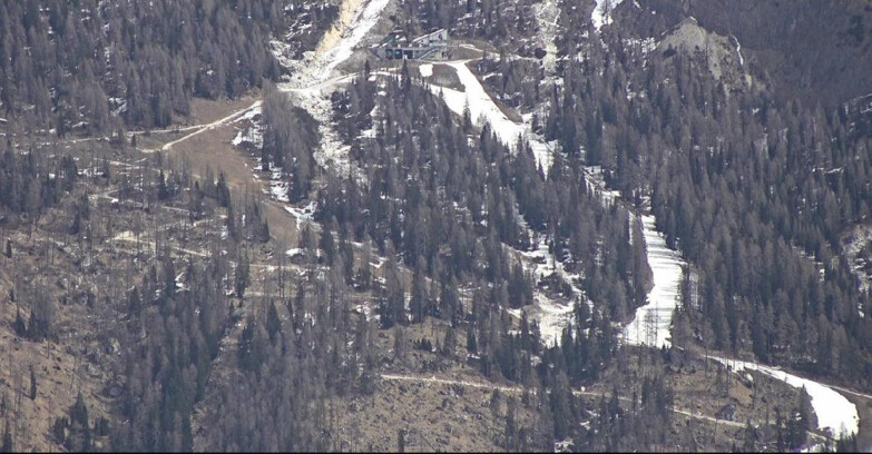 Webcam San Martino di Castrozza - Passo Rolle  - Ski Area Col Verde