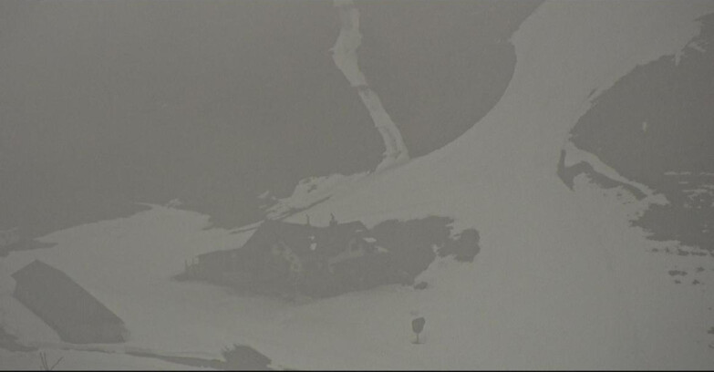 Webcam San Martino di Castrozza - Passo Rolle  - Tognola - Rampone delle Malghe