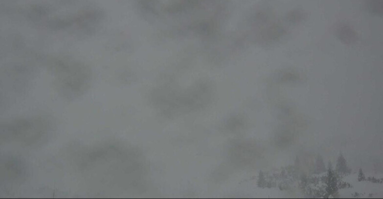 Webcam San Martino di Castrozza - Passo Rolle - Passo Rolle - Il Cimone