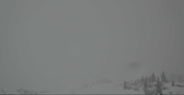 Webcam San Martino di Castrozza - Passo Rolle - Passo Rolle - Il Cimone