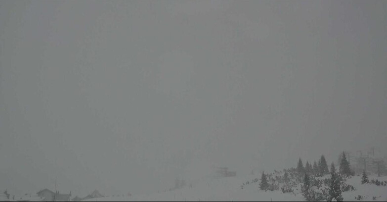 Webcam San Martino di Castrozza - Passo Rolle - Passo Rolle - Il Cimone