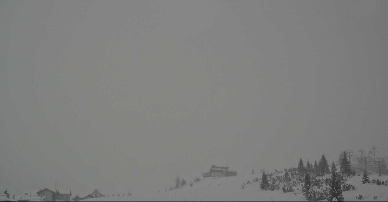 Webcam San Martino di Castrozza - Passo Rolle - Passo Rolle - Il Cimone