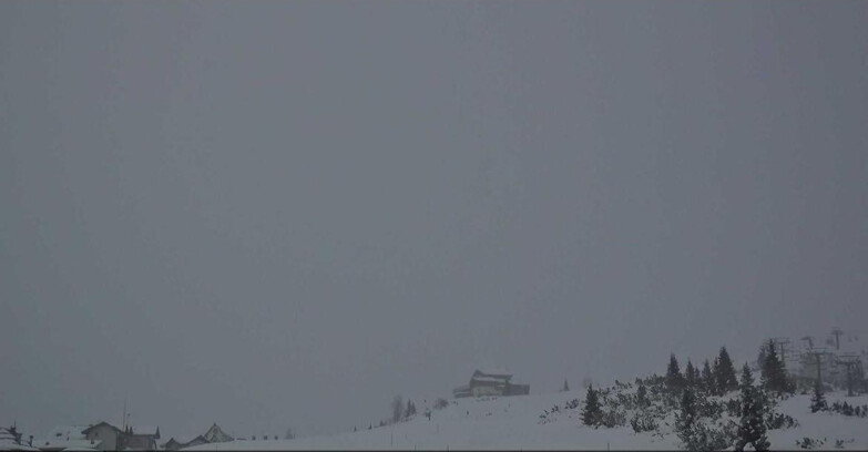 Webcam San Martino di Castrozza - Passo Rolle - Passo Rolle - Il Cimone