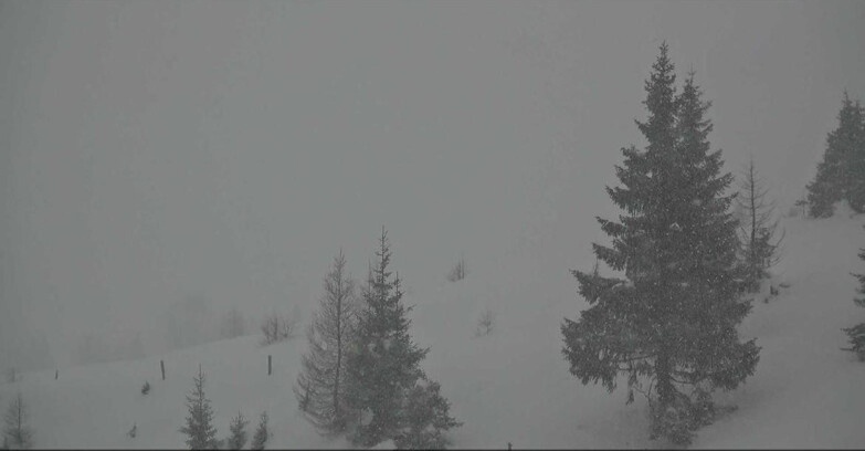 Webcam San Martino di Castrozza - Passo Rolle - Passo Rolle - Bocche