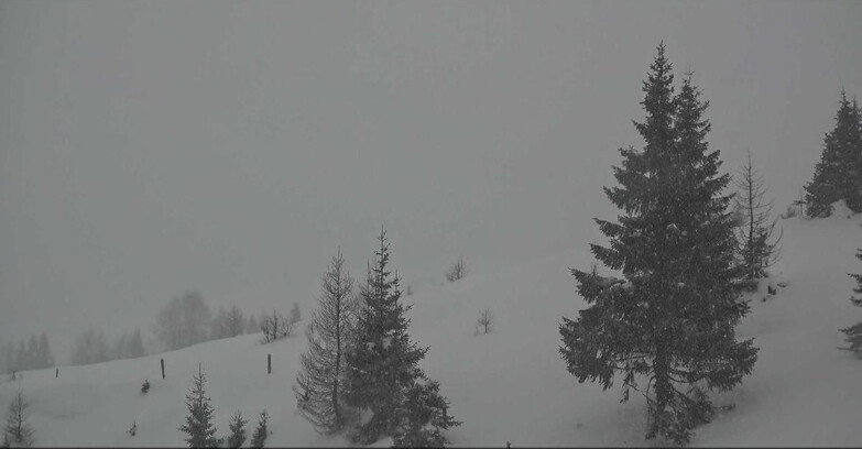 Webcam San Martino di Castrozza - Passo Rolle - Passo Rolle - Bocche