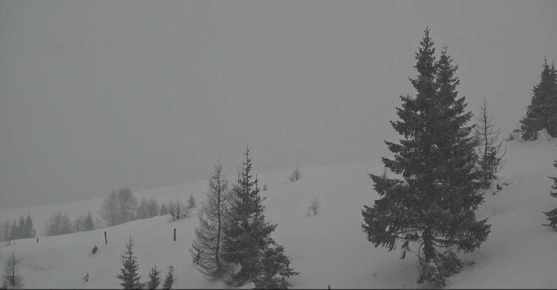 Webcam San Martino di Castrozza - Passo Rolle - Passo Rolle - Bocche